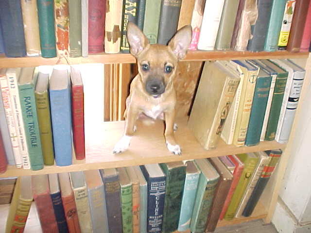 Old-Time-Books